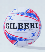 USA University Gilbert Netball