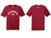 Netball Est. 1895 vneck & round neck tee